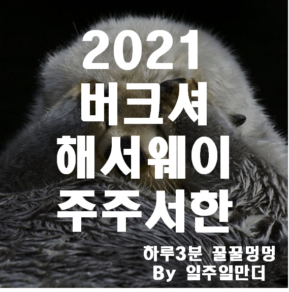 2021 버크셔해서웨이 주주서한