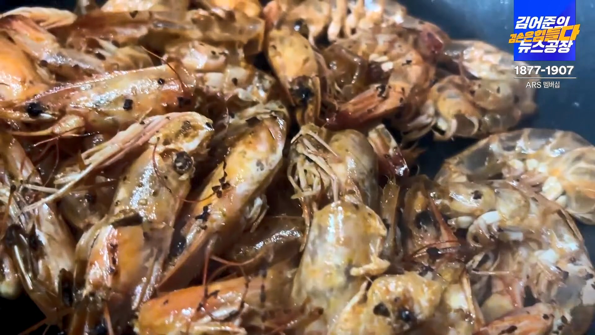 김어준의 겸손은힘들다 뉴스공장 2024년 10월 11일 금요일 [정근식, THE살롱, 한준호, 황운하, 여론조사, 황교익 , 금요미식회, 인방사, 금요음악회(윤시내)].mp4_20241012_160204.619.jpg