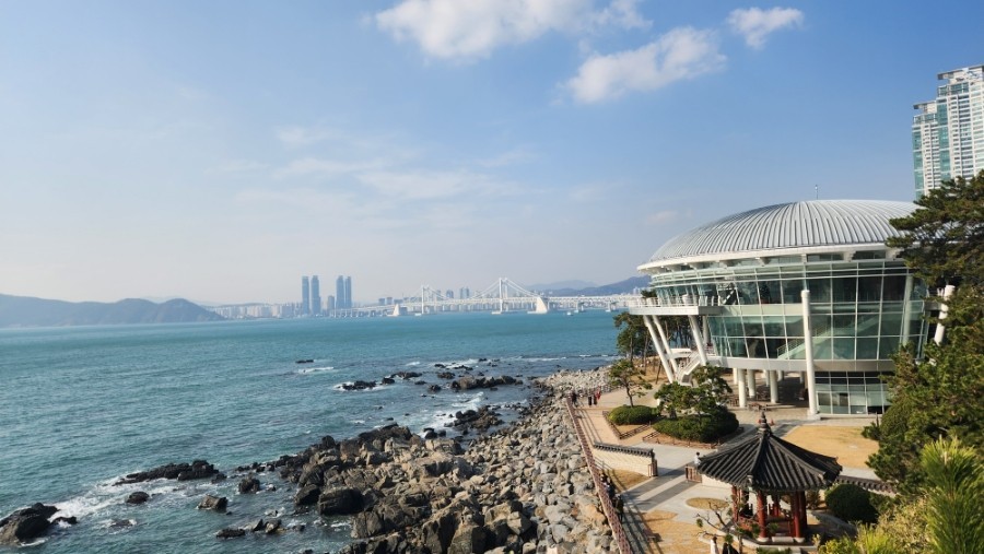 부산불꽃축제-동백섬