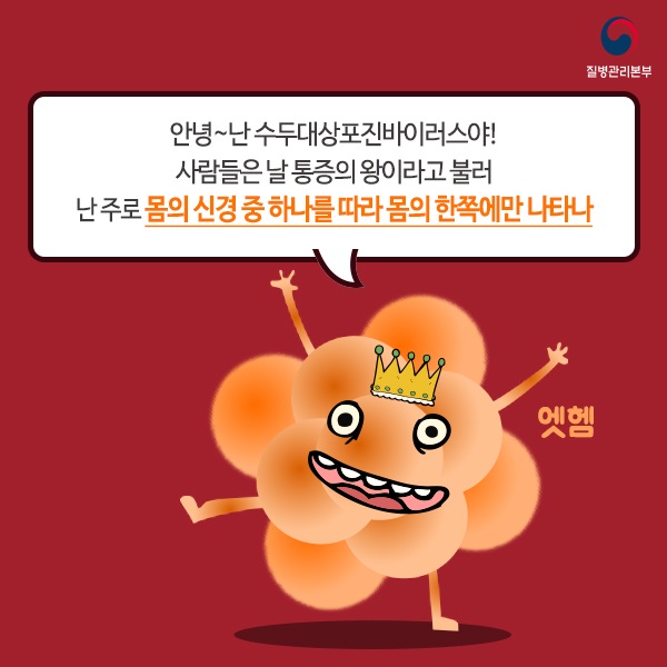  대상포진 증상 원인 진단방법 치료방법 예방법