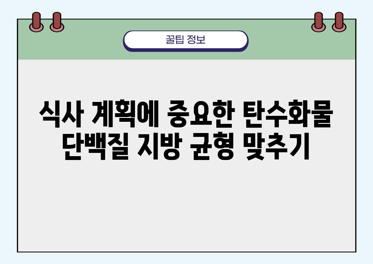 식사 계획에 중요한 탄수화물 단백질 지방 균형 맞추기