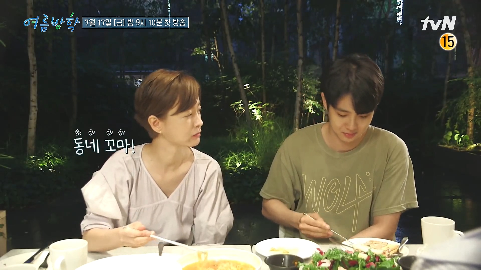  tvN 여름방학, 삼시세끼5 후속작 7월17일 방송예정