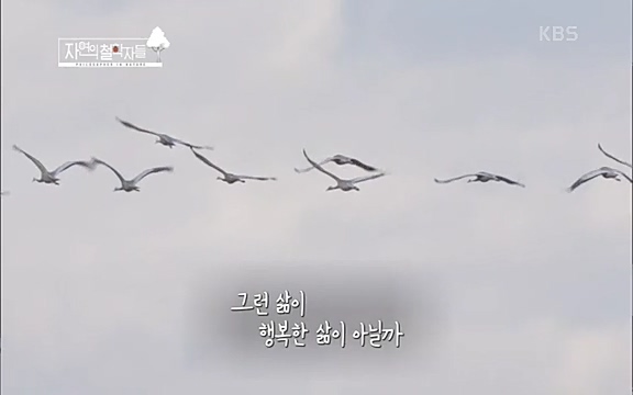 [3회] 자연의 철학자들 - KBS새처럼 살고 싶어라] 자연이라는 위대한 법당에서 숲의 울림, 새들의 소리를 들으며 깨달음을 얻은 도연 스님.ts_20220320_153503.827.jpg
