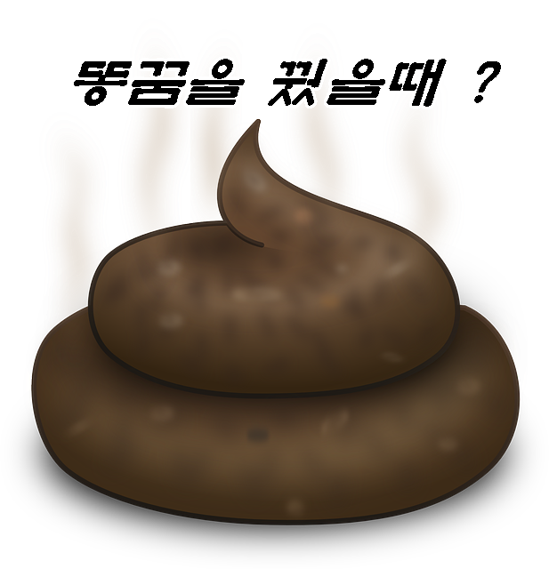  똥꿈에 관한 여러가지 상황별 꿈해