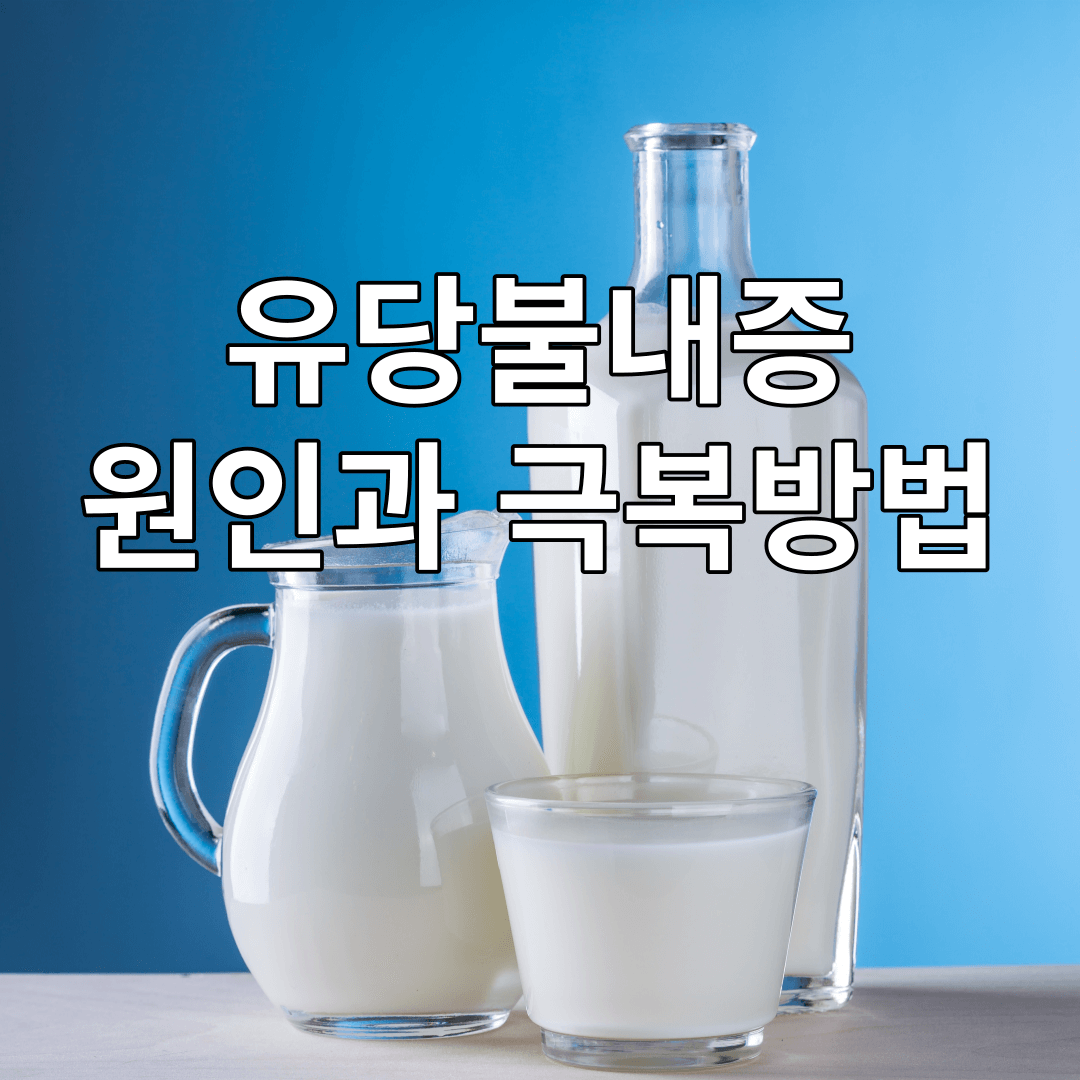 유당불내증-원인과-극복방방법