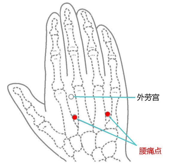 경외기혈(EX) > EX-UE7 요통점 (腰痛點) 2