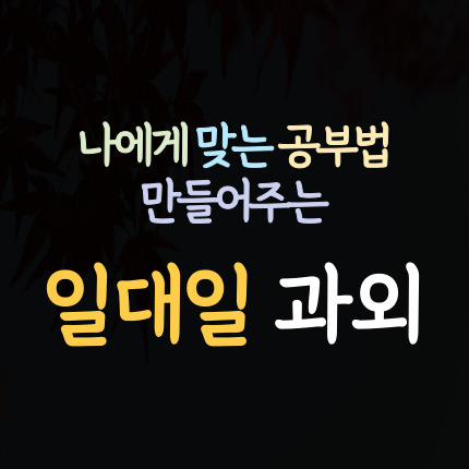  횡성 고등 영어과외 횡성군 중학생 수학과외 초등 중등 국어과외 일대일 내신 대비 과학 역사 한국사 사회