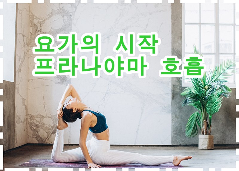  요가 아사나와 면역력에도 좋은 프라나야마 호흡법 익히기