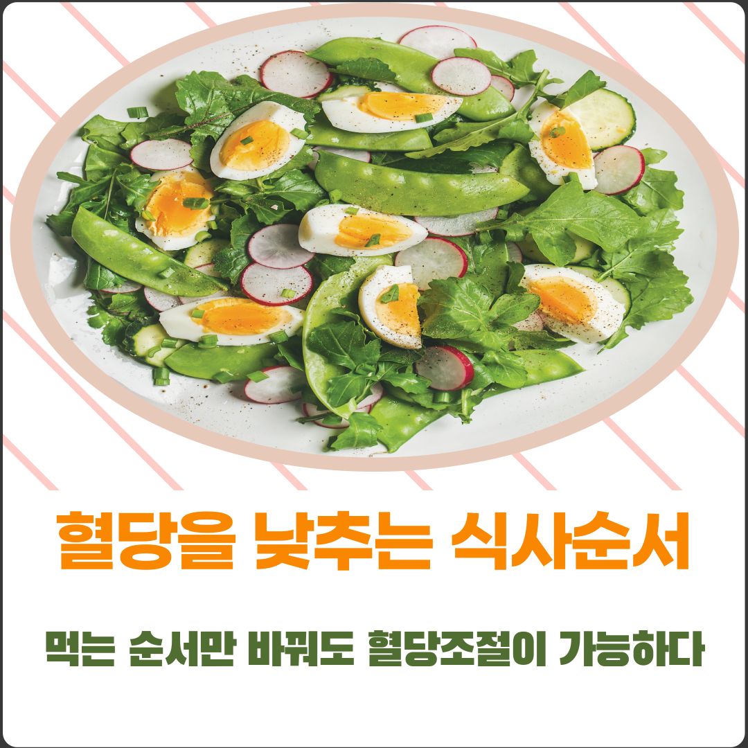  저탄고지 식사 순서만 바꿔도 체중조절 혈당조절에 도움이 된다