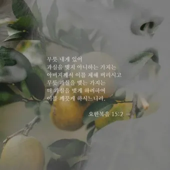 요한복음 20장 그리스도 성경 묵상_15