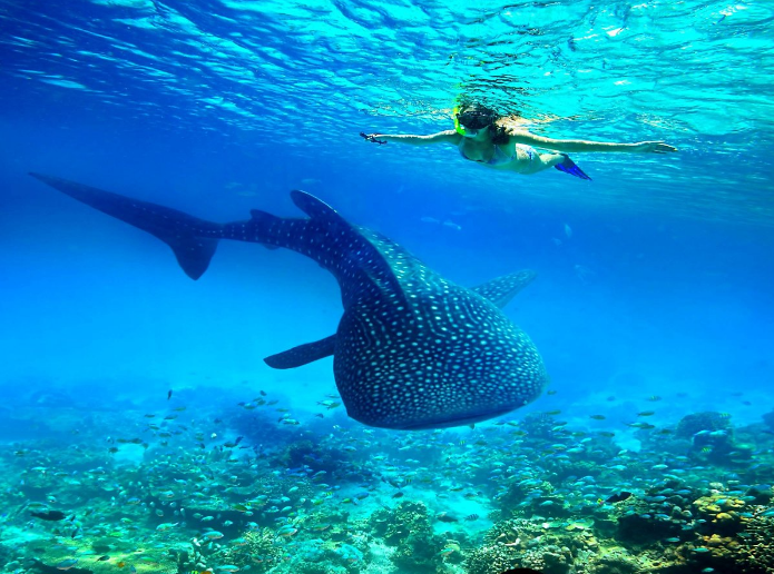 필리핀 세부 여행, 에메랄드빛 6