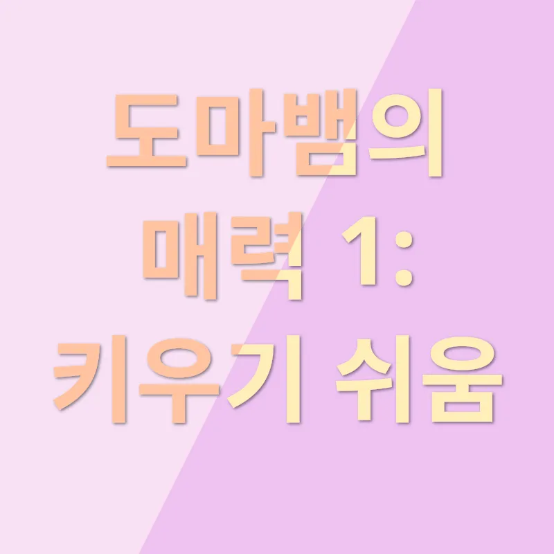 도마뱀 키우기_1