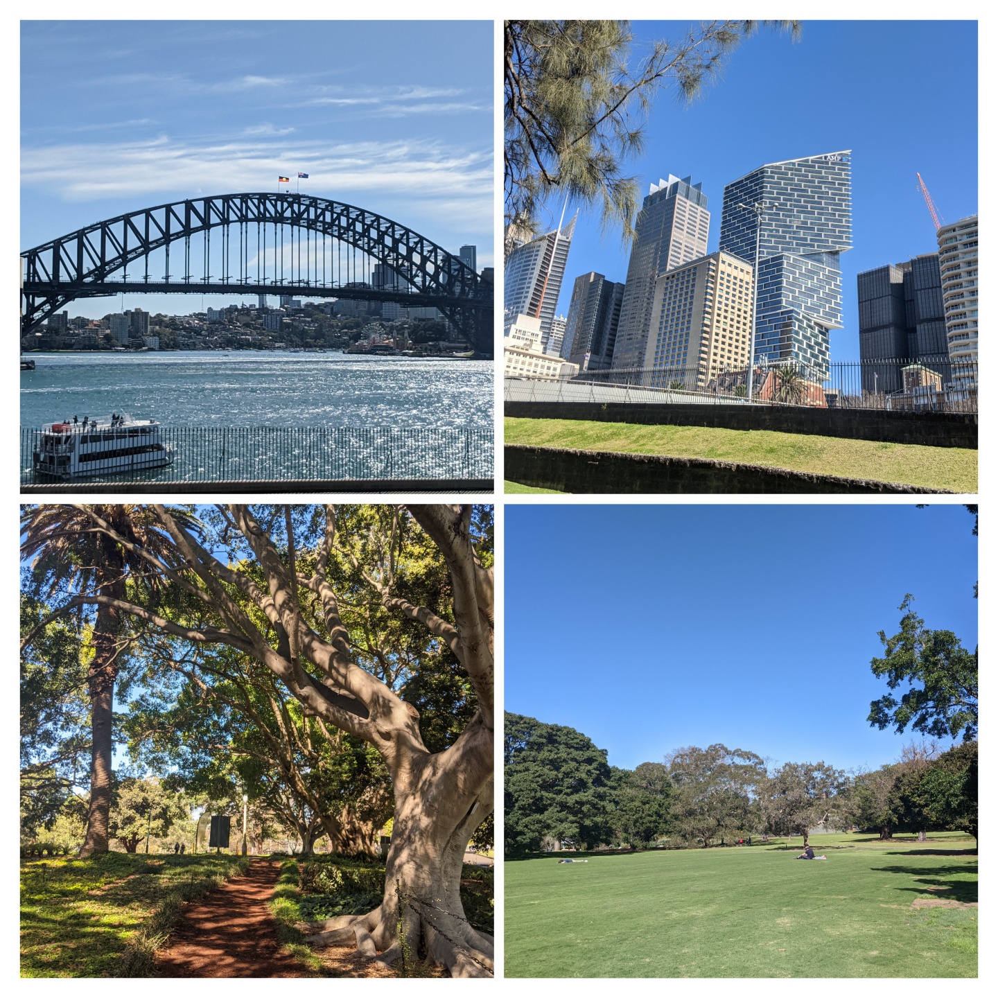 sydney-royal-botanic-garden