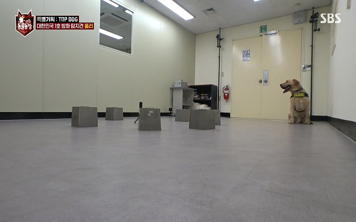 TV 동물농장.E1085.220905p-NEXT.mp4_20220904_173547.866.jpg