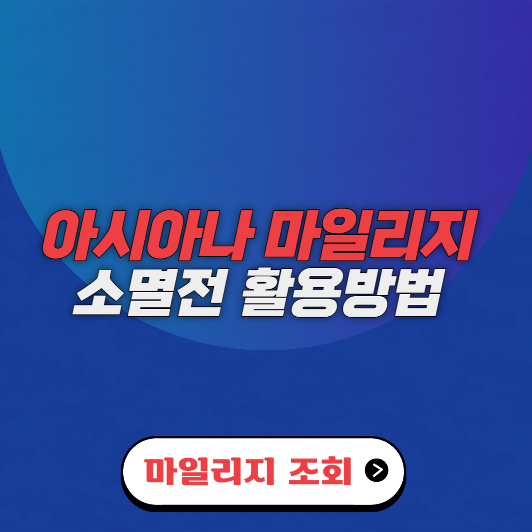 아시아나 마일리지 몰 쇼핑