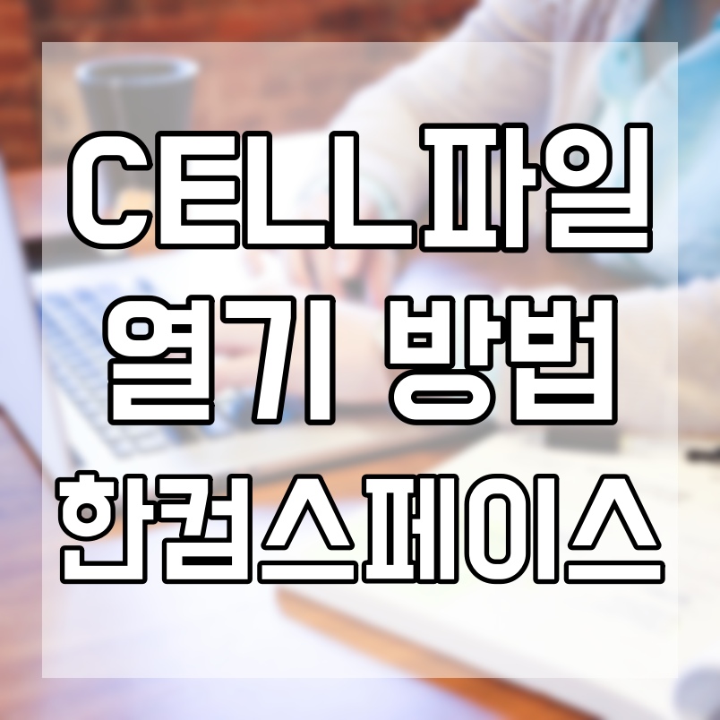  cell 파일 열기 한컴스페이스 이용해보기