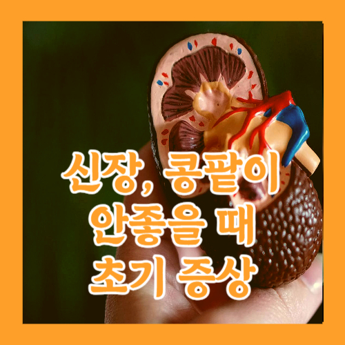 신장 콩팥이 안좋을 때 초기 증상