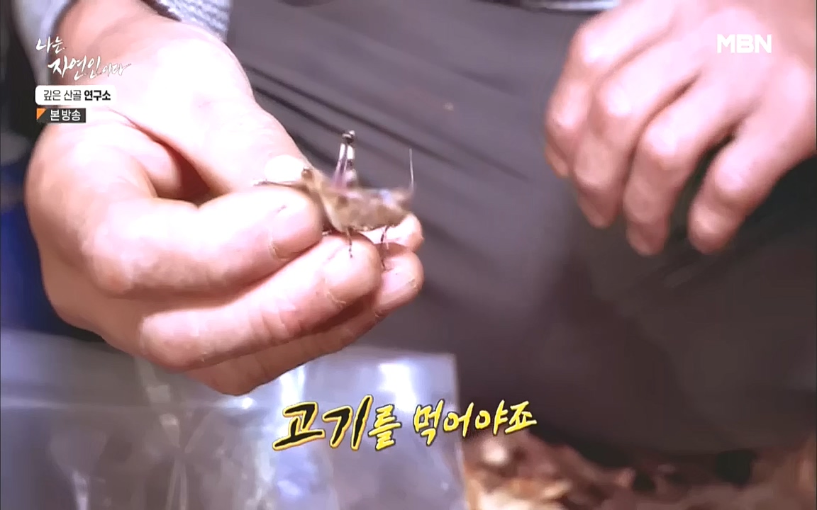 나는 자연인이다.E523.221013p.WANNA.mp4_20221013_201127.951.jpg