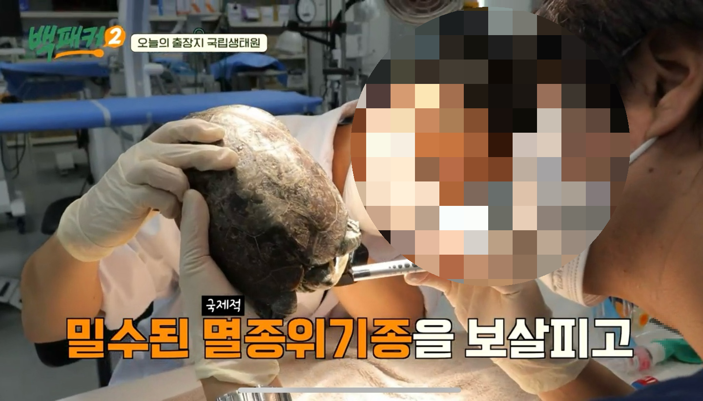 백패커2 X 국립생태원 입장료&amp;#44;시간&amp;#44;위치 정보