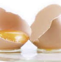 계란말이 맛있게 하는법 황금레시피 프라이팬2