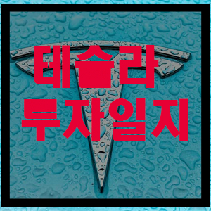  테슬라 117% 수익 인증 - 2020년 6월부터 테슬라(TSLA) 투자일지