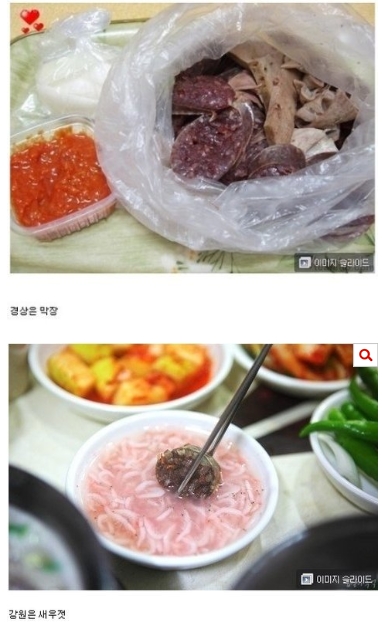  지역별 순대차이.pann +댓글