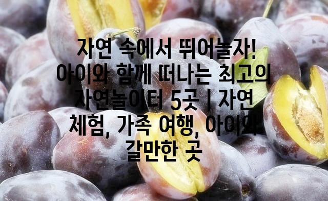 랜덤187