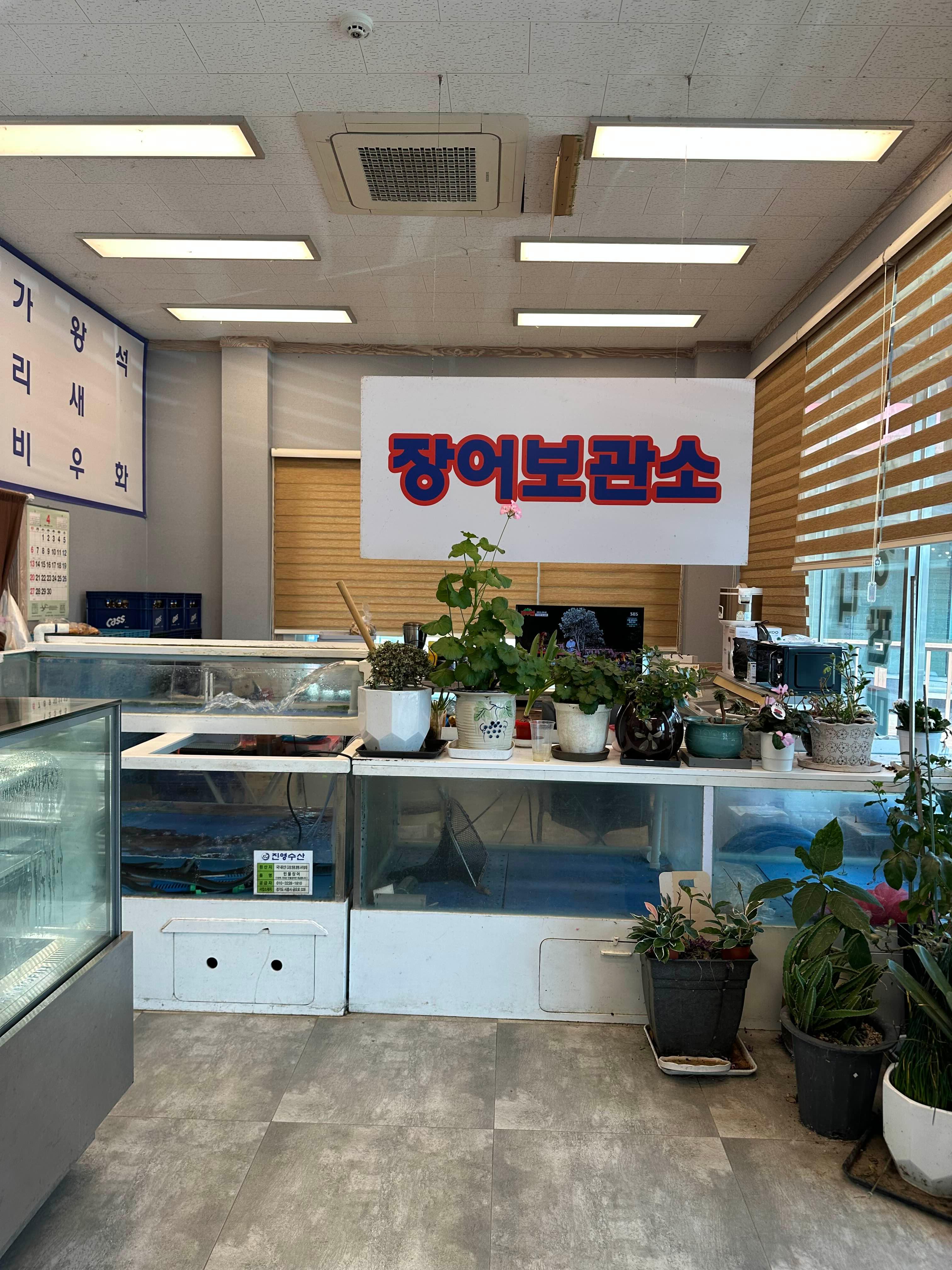 장수촌 4