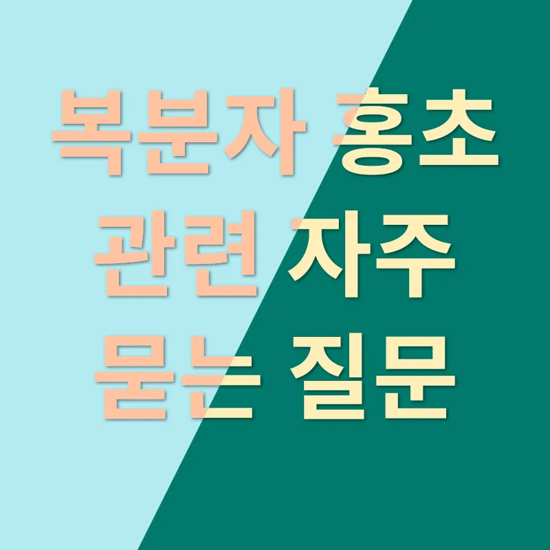 복분자 홍초_4