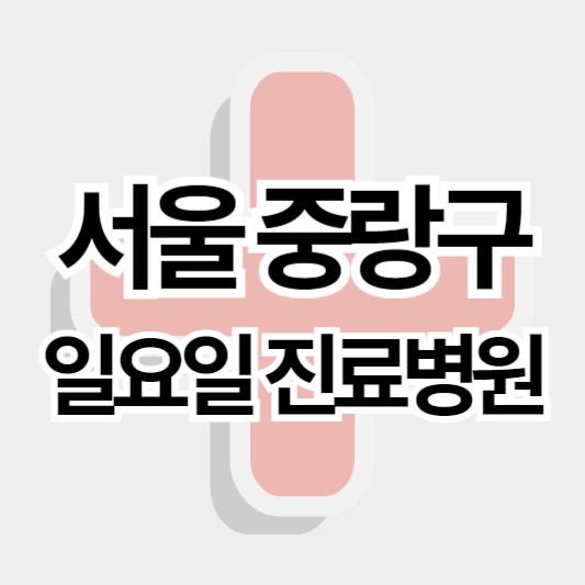 서울중랑구_일요일진료병원_썸네일