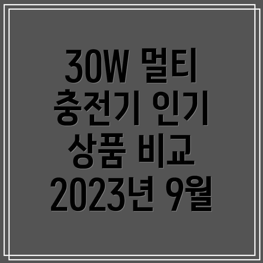 30W멀티충전기선택가이드2023년9월인기상품비교분석