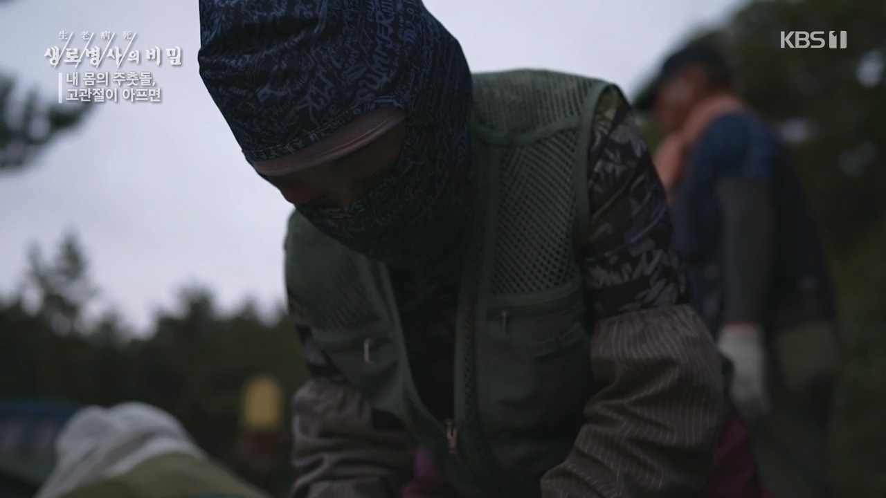 생로병사의 비밀.E890.231116p-NEXT.mp4_20231116_204859.605.jpg