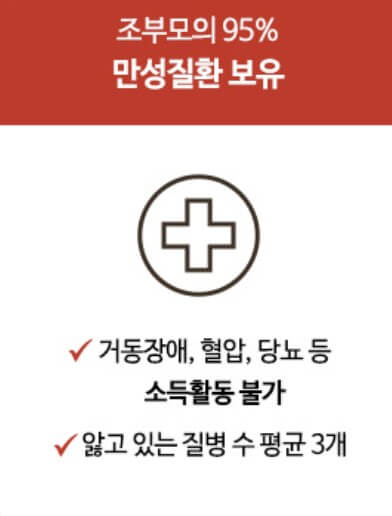 조부모의 95% 만성질환 보유