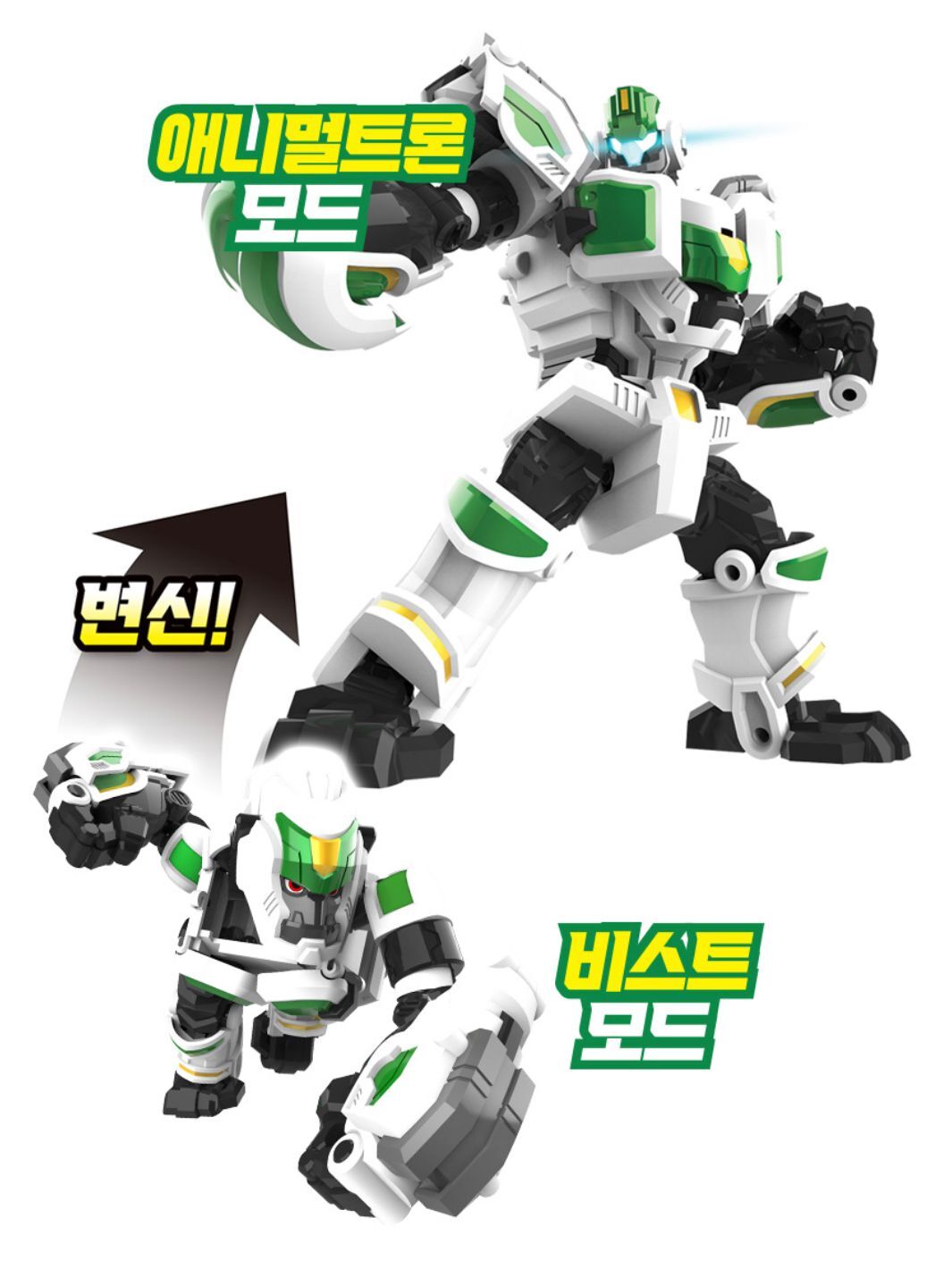 빅콩 이미지