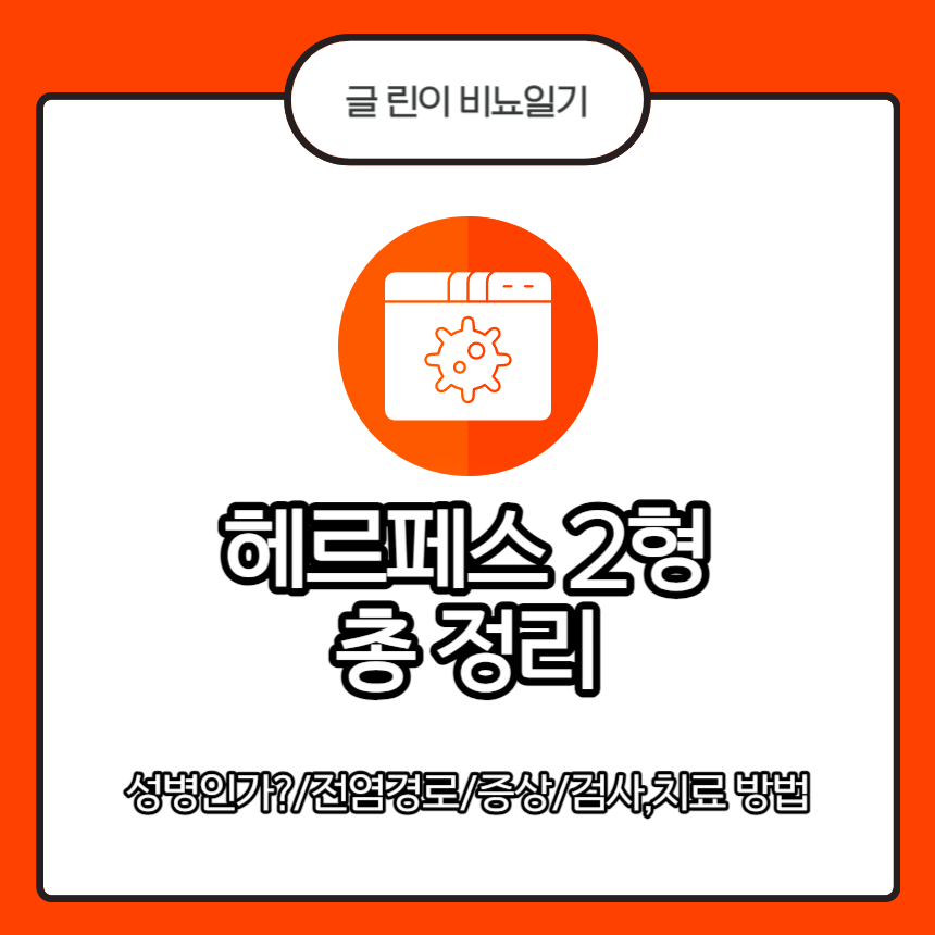 헤르페스 2형 총 정리