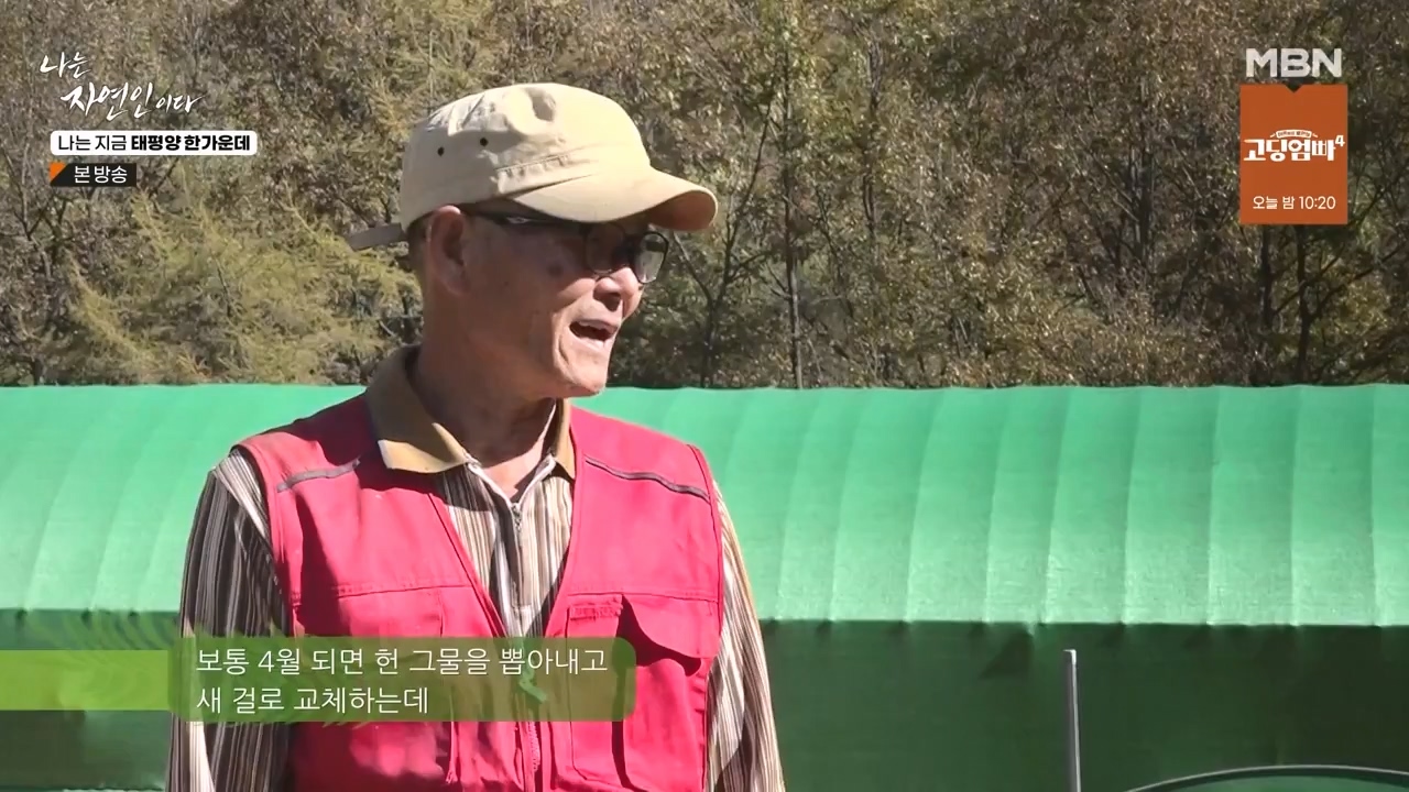 나는 자연인이다.E581.231123p-NEXT.mp4_20231123_200711.983.jpg