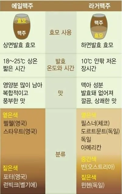 매일 마신다면 옅은 색의 라거 혹은 에일이나 화이트 맥주를 추천