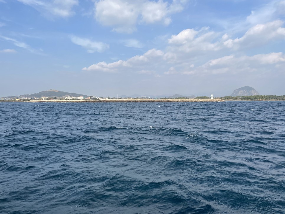 겨울 여행지 겨울 국내 여행지 :제주도 29