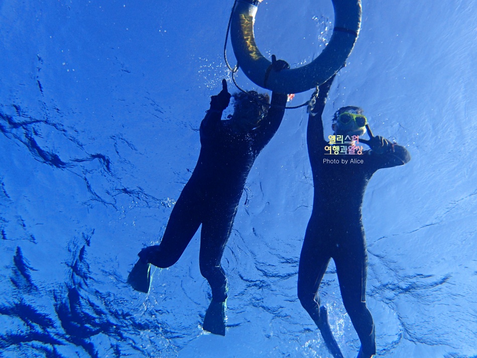 오키나와 자유여행 케라마 제도 스노클링 초보자 후기 바다거북이 만나기