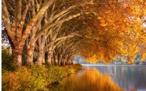 크린토피아 가격표 패딩 운동화 가격