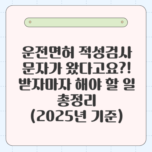 운전면허 적성검사 문자가 왔다고요?!: 받자마자 해야 할 일 총정리 (2025년 기준)