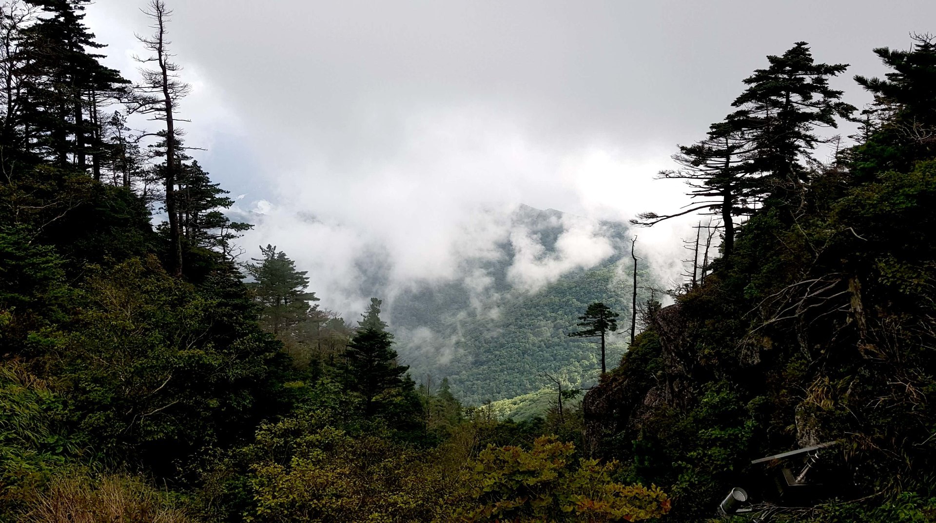 지리산 19번째 짙은 운무