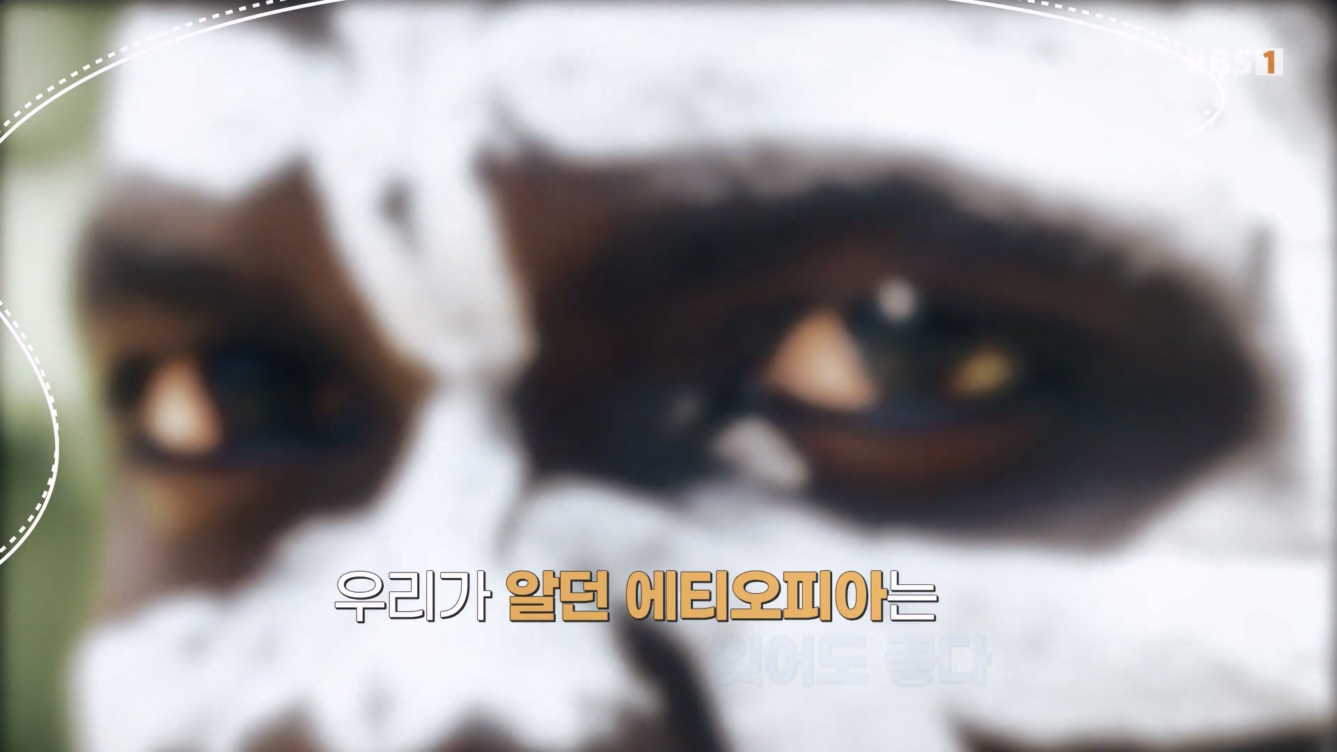 세계테마기행 240116 나는 전설이다 에티오피아 -골목의 전설, 하라르0p.mp4_20240713_174138.923.jpg