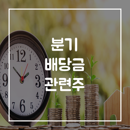 분기 배당금 주식 분기별 배당금 관련주