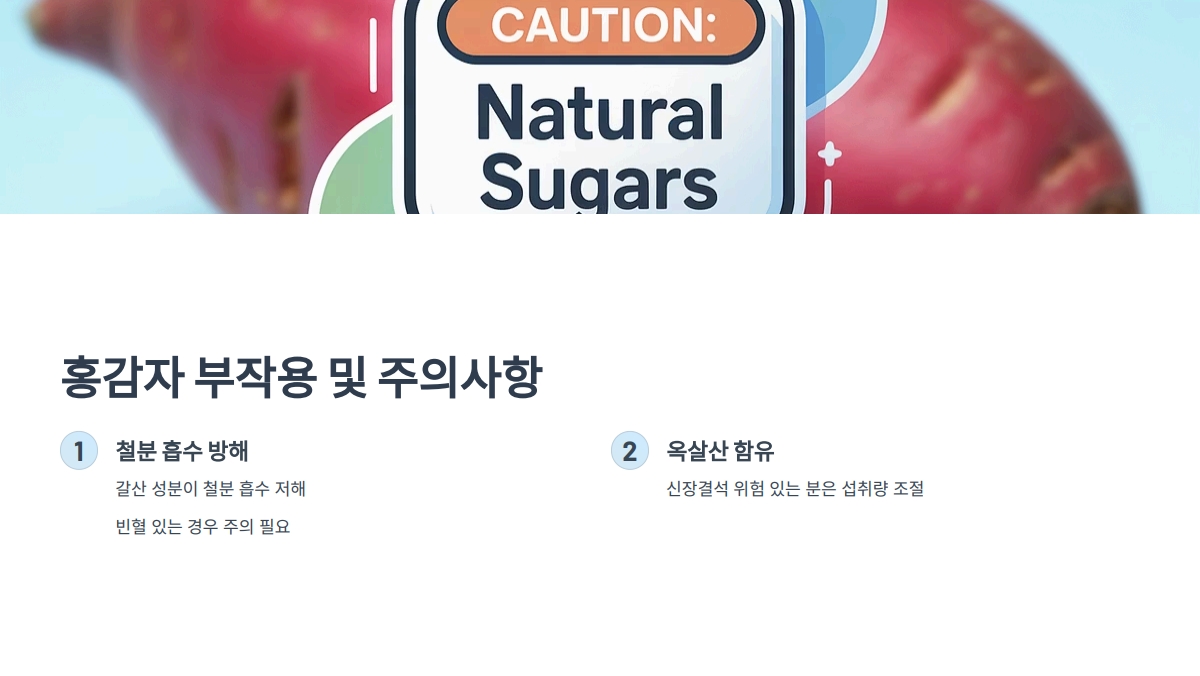 홍감자 효능