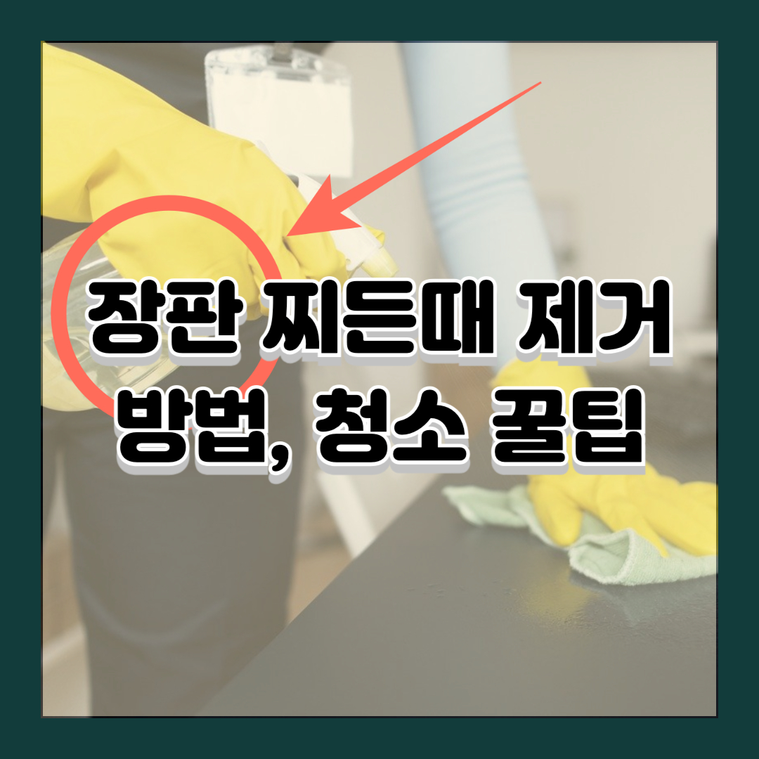 장판 찌든때 제거 방법, 청소 꿀팁