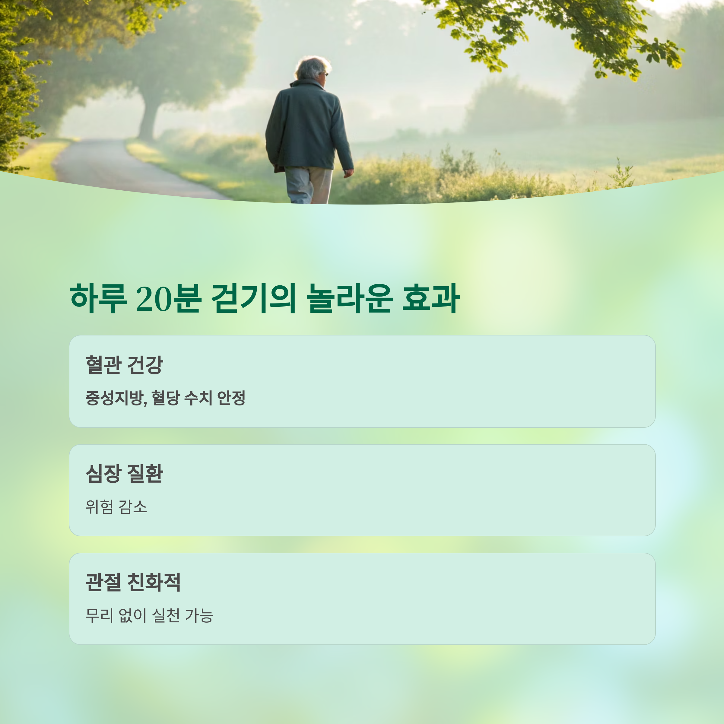 50대 이후 건강, 단 3가지 습관으로 완전히 바뀐다 - 중년 이후 건강 관리는 어떻게 달라져야 할까? - 하루 20분 걷기, 혈관 건강의 결정적 전환점 50대 이후 건강, 단 3가지 습관으로 완전히 바뀐다 - 중년 이후 건강 관리는 어떻게 달라져야 할까? - 하루 20분 걷기, 혈관 건강의 결정적 전환점