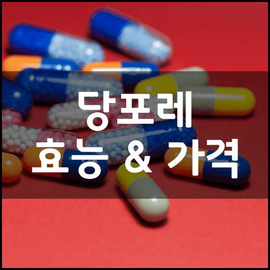 모어트루-당포레-성분-효능-가격