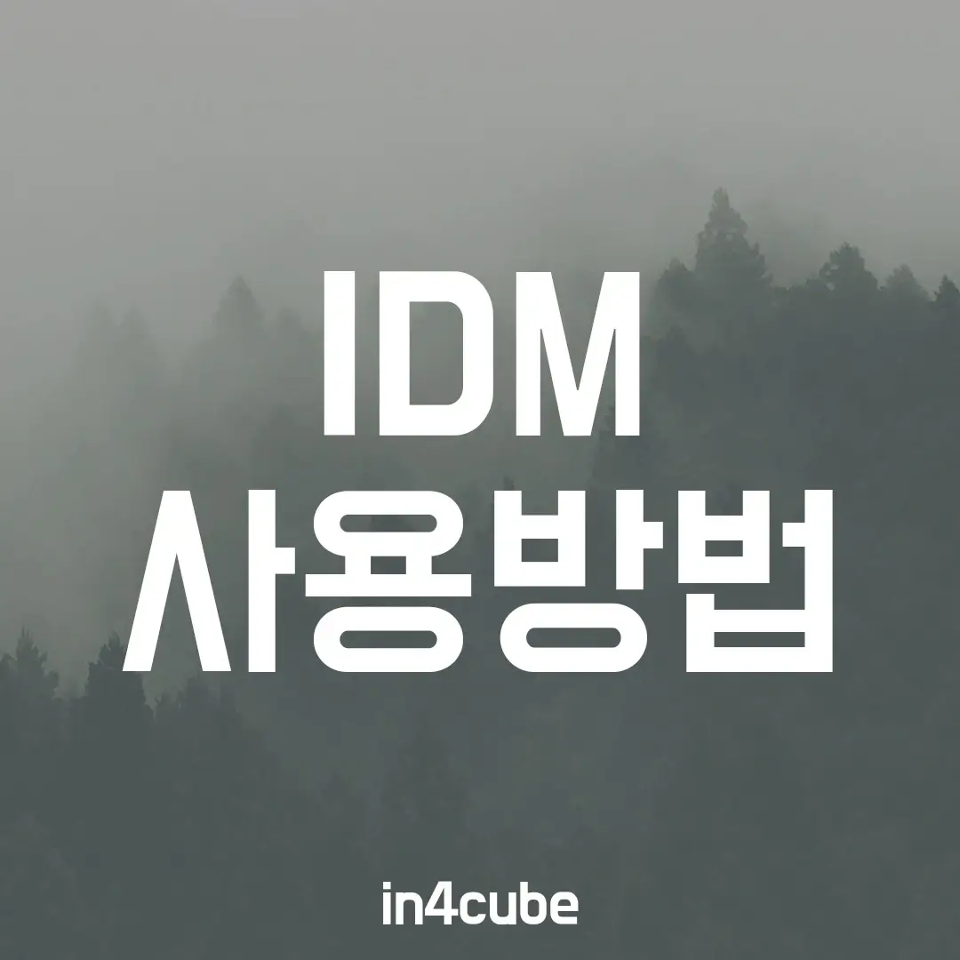 IDM-사용방법