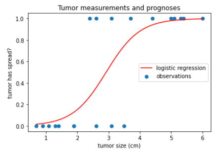 종양 크기 상관 관계 그래프2